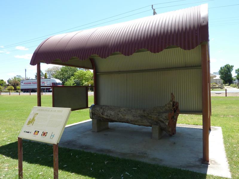 Nhill - Jaypex Park, Victoria Street: Aboriginal scar tree