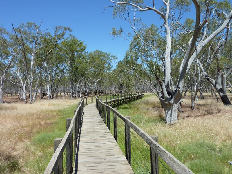 Nhill - Nhill Swamp Boardwalk between Jaypex Park and Lake Nhill: View along boardwalk