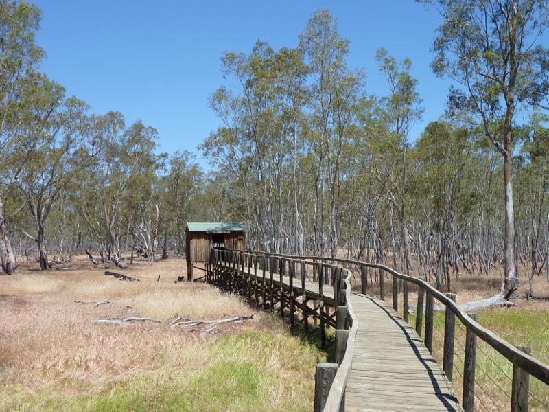 Nhill - Nhill Swamp Boardwalk between Jaypex Park and Lake Nhill: Section of boardwalk leading towards bird hide