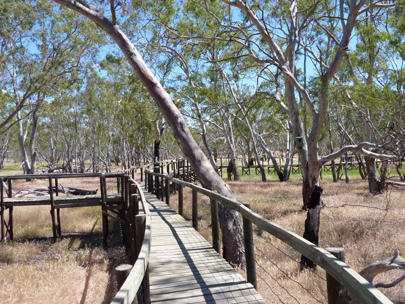 Nhill - Nhill Swamp Boardwalk between Jaypex Park and Lake Nhill: Boardwalk junction at section to bird hide