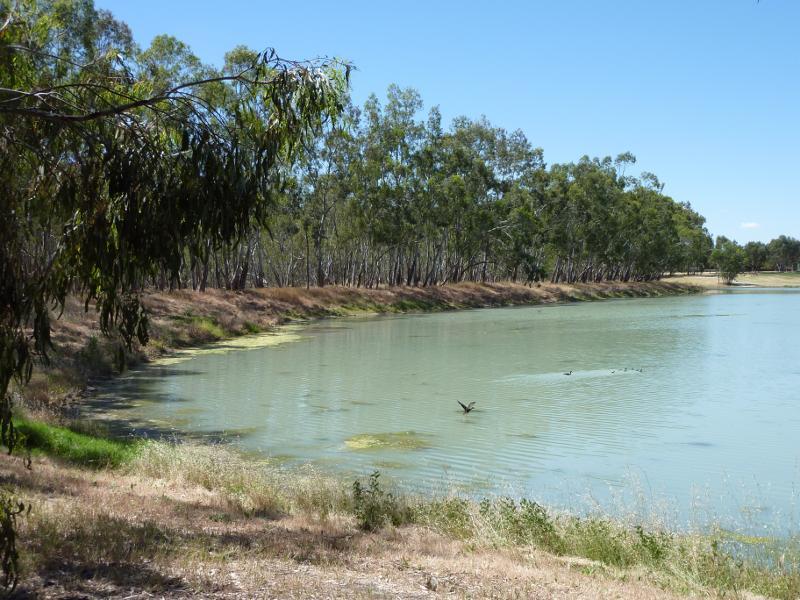 Nhill - Nhill Swamp Boardwalk between Jaypex Park and Lake Nhill: View north-east along lake