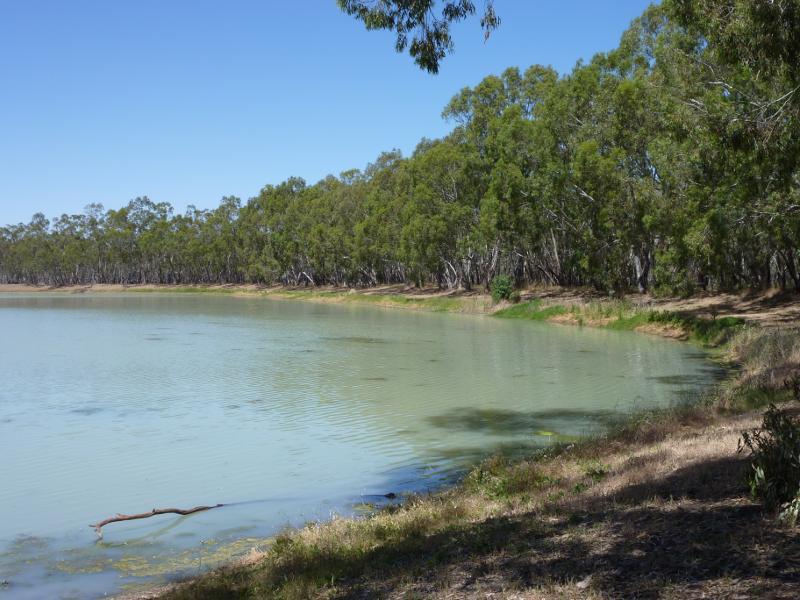 Nhill - Nhill Swamp Boardwalk between Jaypex Park and Lake Nhill: View east along southern side of lake