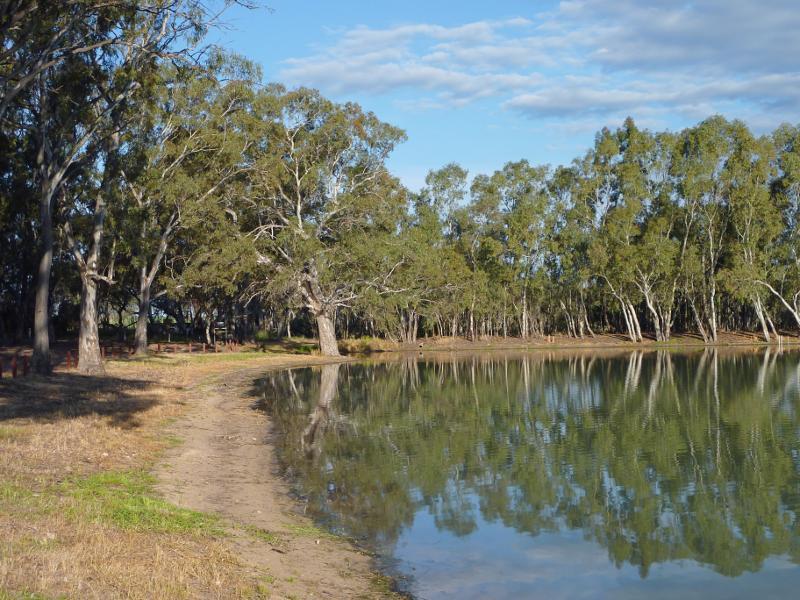 Nhill - Northern side of Lake Nhill at boat ramp off Campbell Street: View along northern side of lake