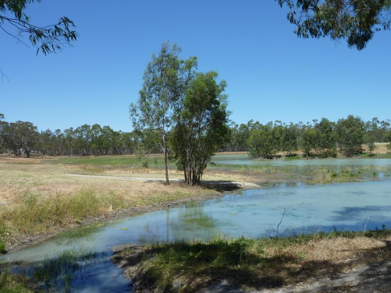 Nhill - Northern side of Lake Nhill at boat ramp off Campbell Street: View east along northern side of lake towards boat ramp