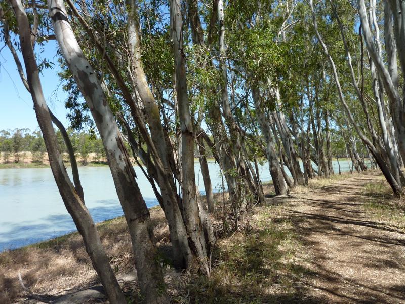 Nhill - Northern side of Lake Nhill at boat ramp off Campbell Street: Walkway along western side of lake