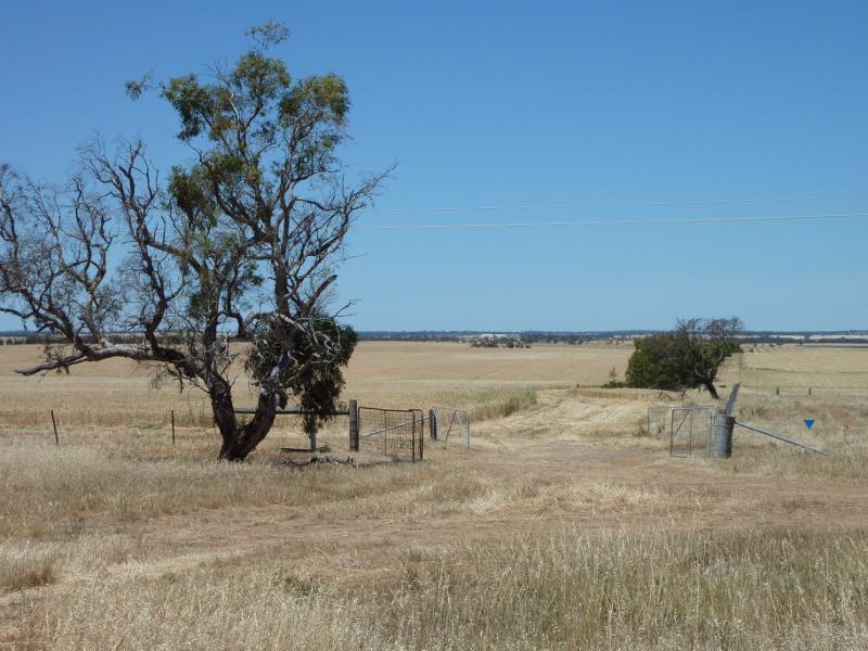Nhill - Western Highway, east of Nhill: Southerly view across fields, Western Hwy east of Nhill-Jeparit Rd