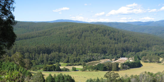 Noojee