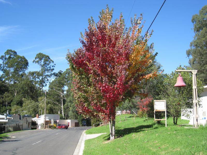 Noojee - Town centre, Bennett Street and Henty Street: View east along Mt Baw Baw Rd at fire station and towards Bennett St