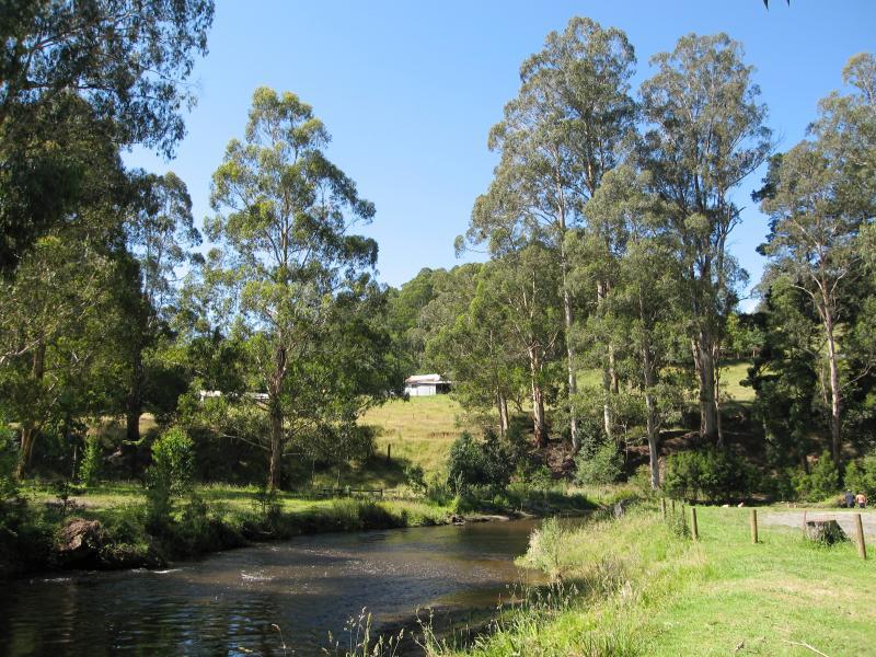 Noojee - Parkland along La Trobe River, east side of Bennett Street: View east along river near BBQ shelter