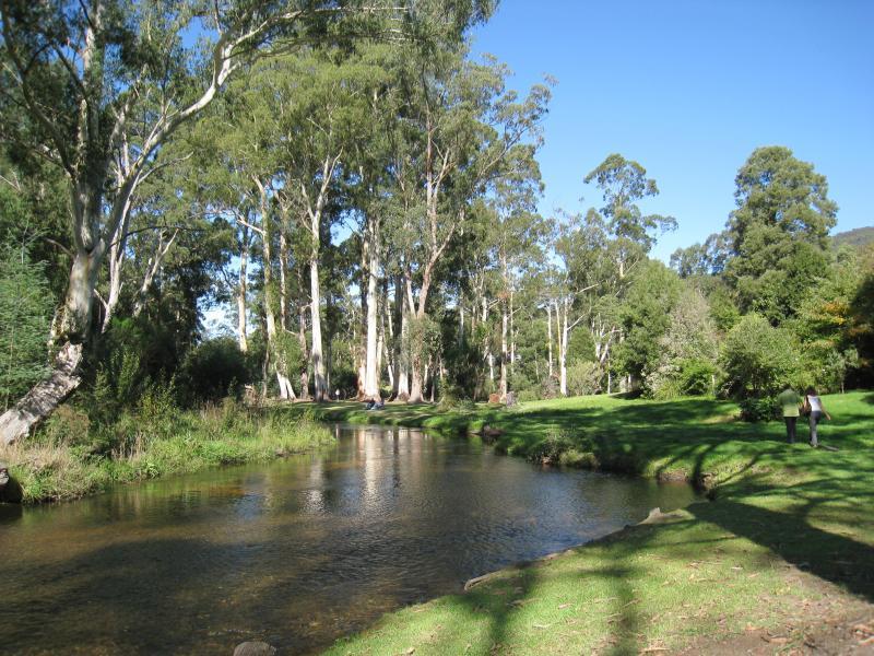 Noojee - Parkland along La Trobe River, east side of Bennett Street: View south along river behind Bennett St