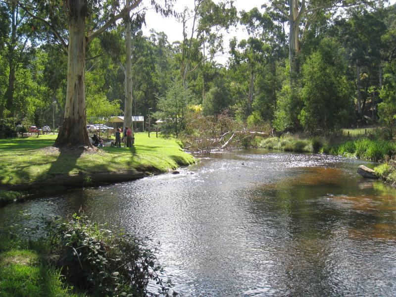 Noojee - Parkland along La Trobe River, east side of Bennett Street: View north along river towards BBQ shelter