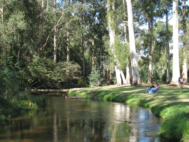 Noojee - Parkland along La Trobe River, east side of Bennett Street: View south along river through parkland behind Bennett St