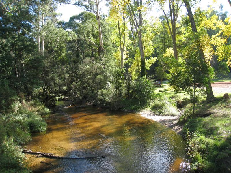 Noojee - Parkland along La Trobe River, McCarthy Spur Road: View west along La Trobe River from suspension bridge