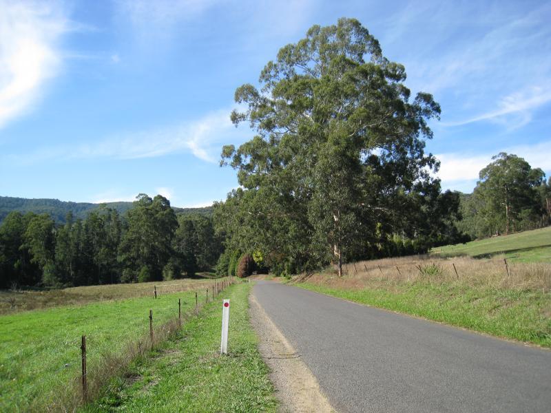 Noojee - Loch Valley Road: View north along Loch Valley Rd, north of town