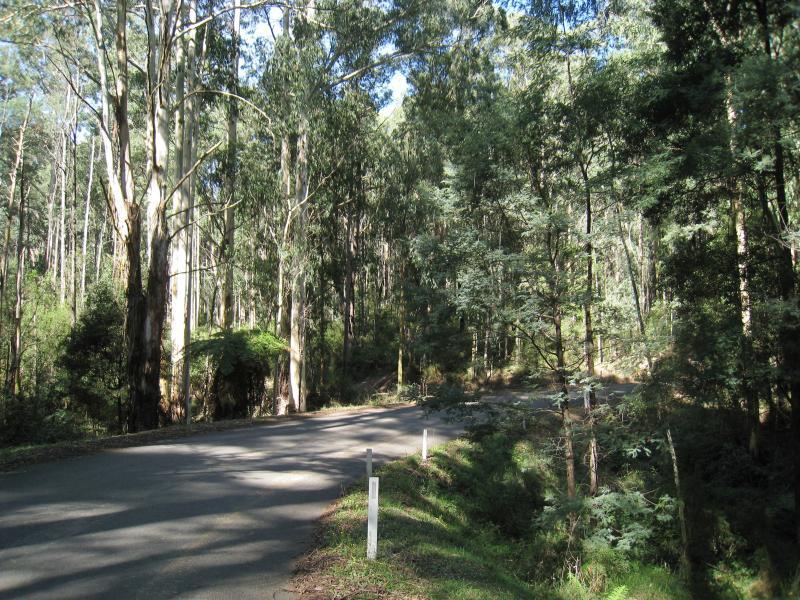 Noojee - Loch Valley Road: Loch Valley Rd through bush area