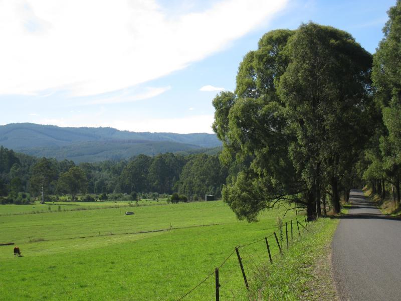 Noojee - Loch Valley Road: View north along Loch Valley Rd at Gunns Rd