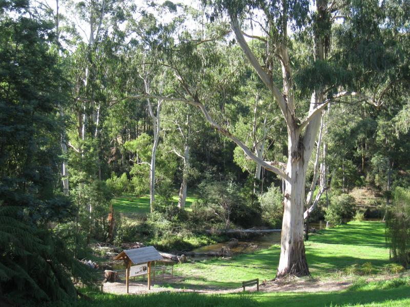 Noojee - Noojee Hotel and surroundings, Mount Baw Baw Road: View down to La Trobe River from rear of hotel