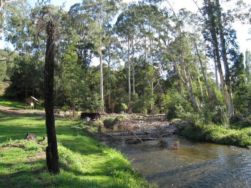 Noojee - Noojee Hotel and surroundings, Mount Baw Baw Road: View west along La Trobe River behind hotel
