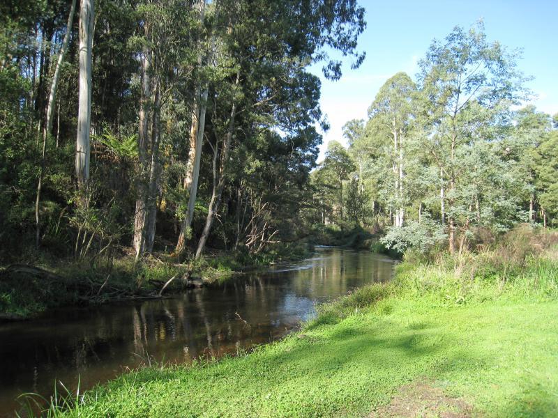 Noojee - Noojee Hotel and surroundings, Mount Baw Baw Road: View east along La Trobe River behind hotel