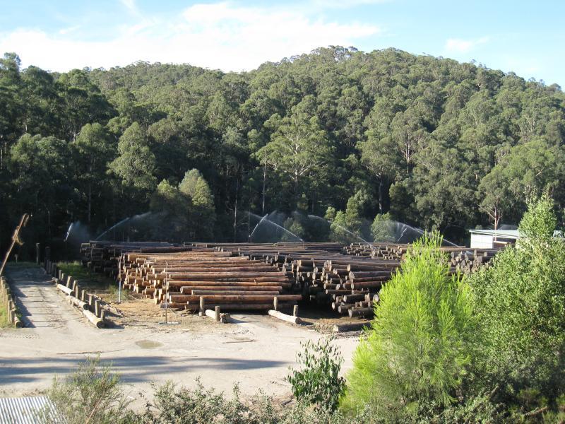 Noojee - Mount Baw Baw Road east of town - Water spraying of sawlogs at timber mill near old Fumina Rd