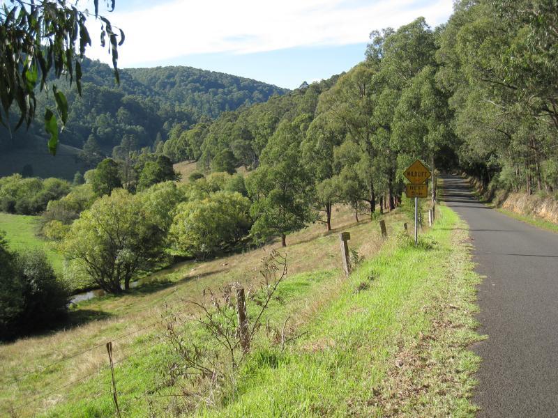 Noojee - Toorongo Falls Road: View along Toorongo Falls Rd near Mt Baw Baw Rd