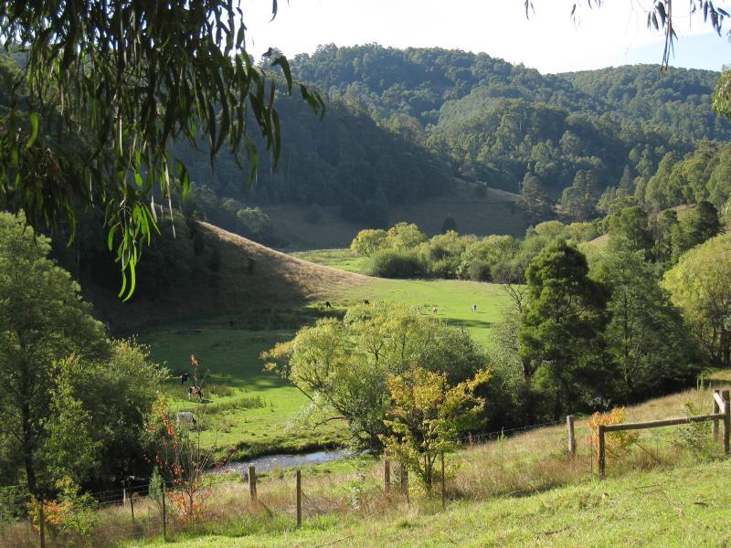 Noojee - Toorongo Falls Road: View west towards Toorongo River near start of road