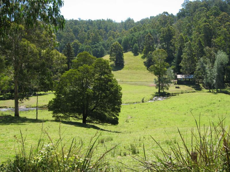 Noojee - Toorongo Falls Road: Toorongo River running through countryside along Toorongo Falls Rd