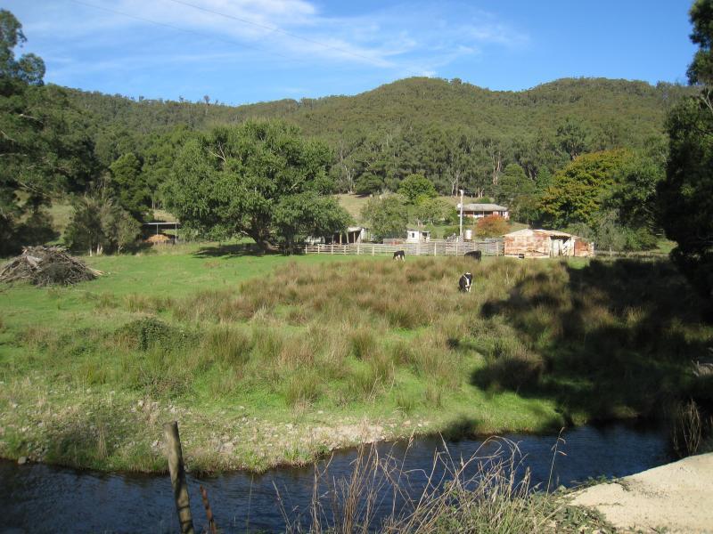 Noojee - Toorongo Falls Road: South-east view from Toorongo River at first river crossing