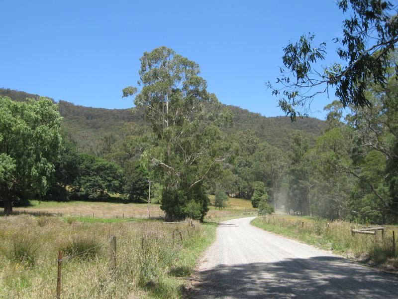 Noojee - Toorongo Falls Road: View south along Toorongo Falls Rd at first river crossing