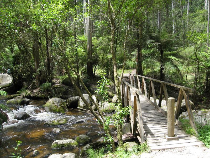 Noojee - Toorongo Falls Reserve: Bridge over Toorongo River