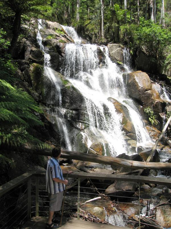 Noojee - Toorongo Falls Reserve: Viewing platform at base of Toorongo Falls