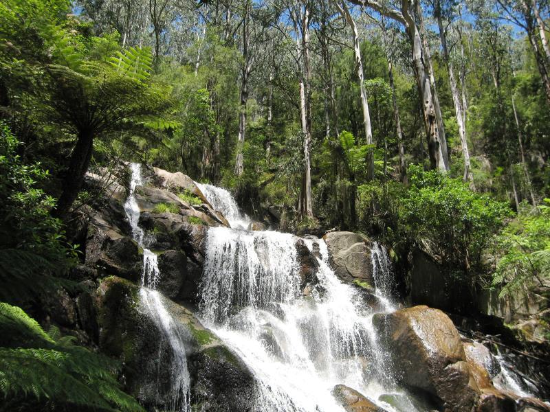 Noojee - Toorongo Falls Reserve: View of top of Toorongo Falls