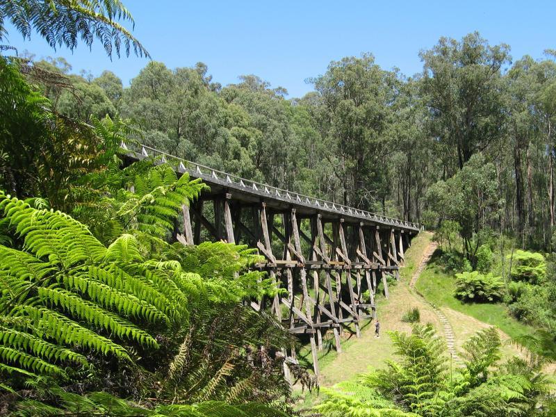 Noojee - Trestle Bridge, Mount Baw Baw Road: View along bottom of trestle bridge