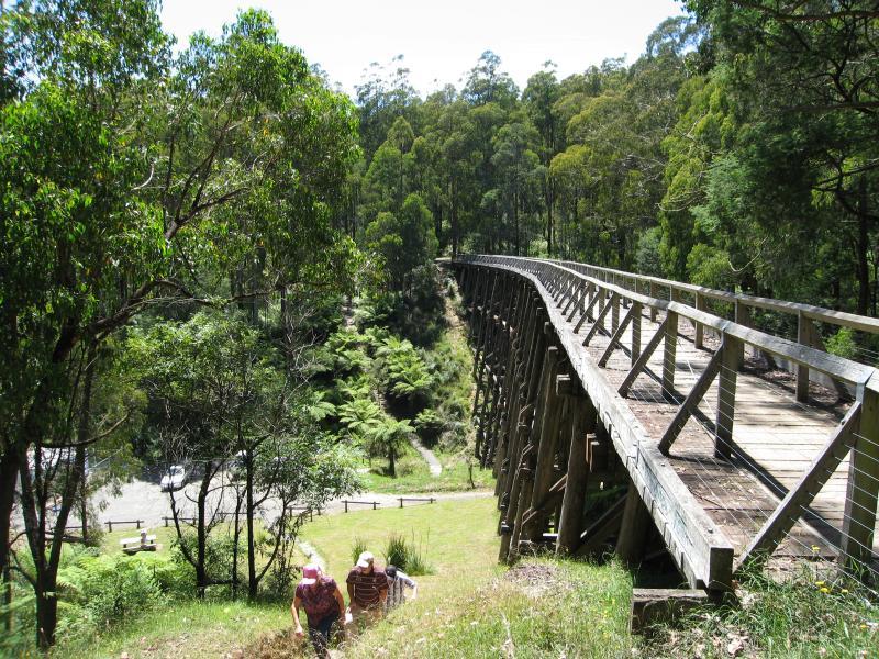 Noojee - Trestle Bridge, Mount Baw Baw Road: View along top of trestle bridge
