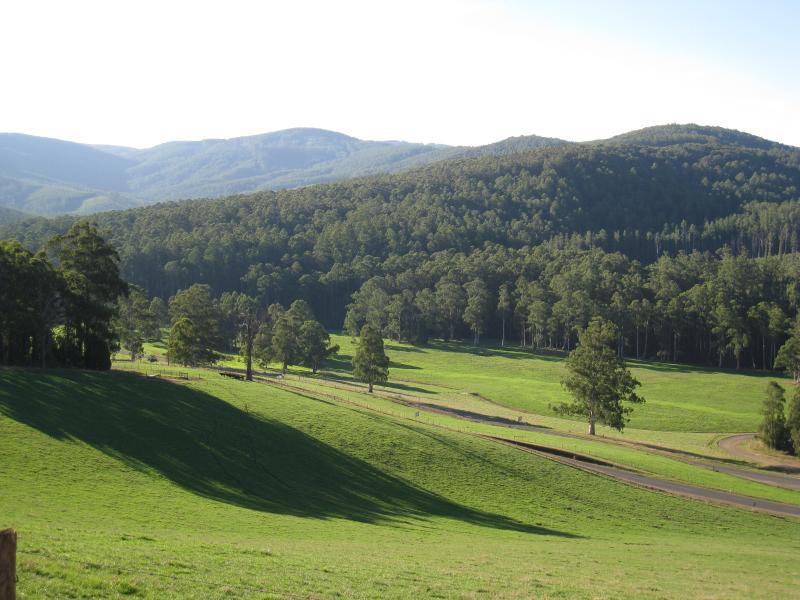 Noojee - Views from Main Neerim Road near Mount Baw Baw Road: North-west view