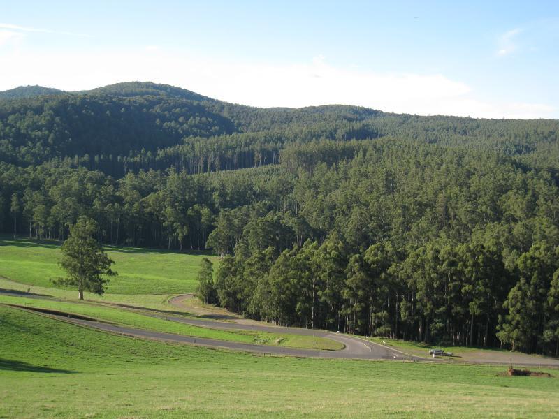 Noojee - Views from Main Neerim Road near Mount Baw Baw Road: Northerly view towards Main Neerim Rd and Mt Baw Baw Rd junction