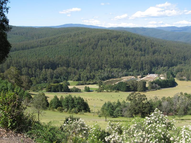 Noojee - Lions Club Lookout, Main Neerim Road - North-easterly view towards Alpine Trout Farm