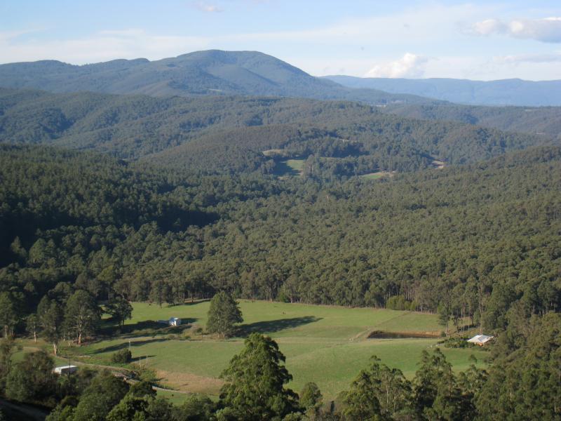 Noojee - Views from parking bay just south of Lions Club Lookout, Main Neerim Road: North-easterly view