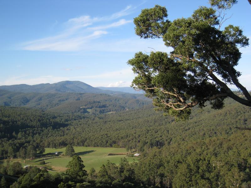 Noojee - Views from parking bay just south of Lions Club Lookout, Main Neerim Road: North-easterly view