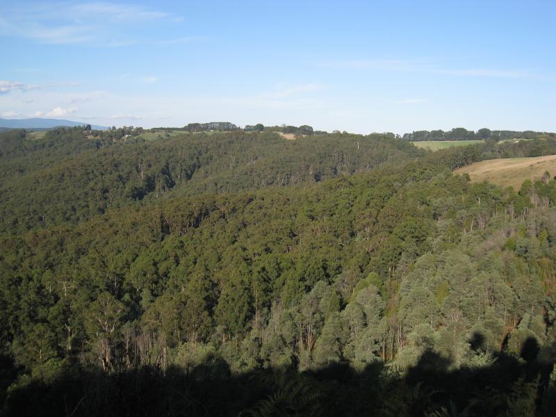 Noojee - Views from parking bay just south of Lions Club Lookout, Main Neerim Road: Easterly view