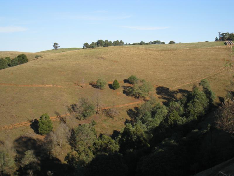 Noojee - Views from parking bay just south of Lions Club Lookout, Main Neerim Road: South-easterly view