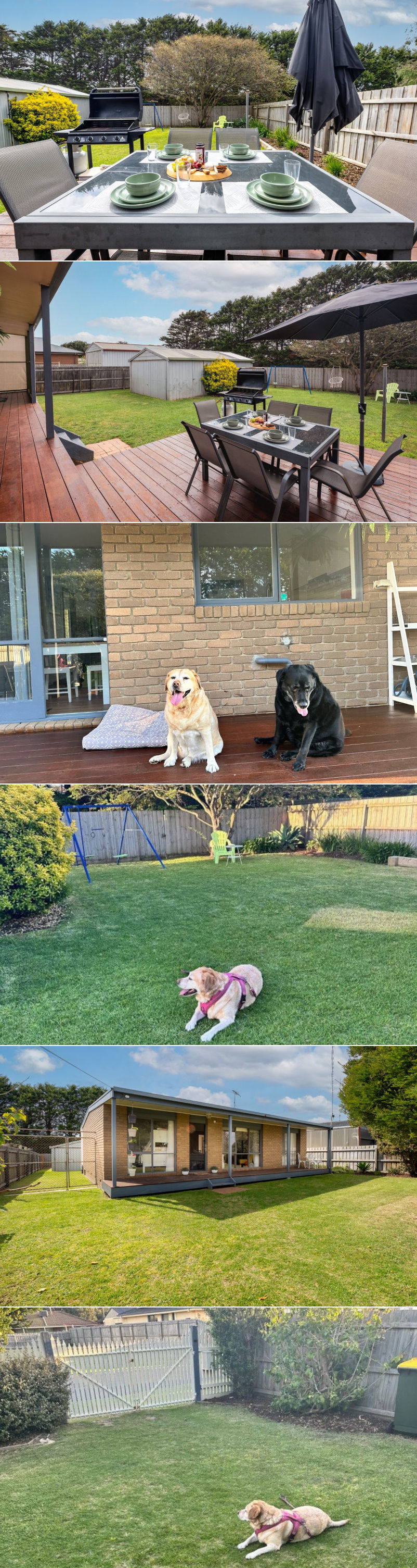 Paws By The Sea - Outside