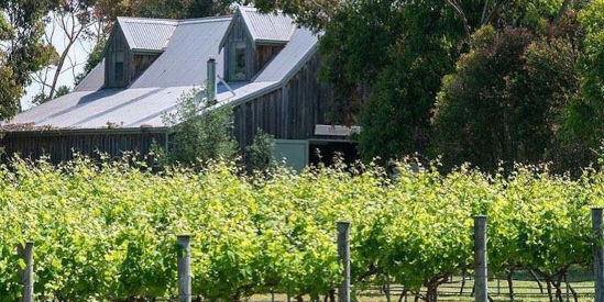 Ponda Estate Vineyard, Wallington