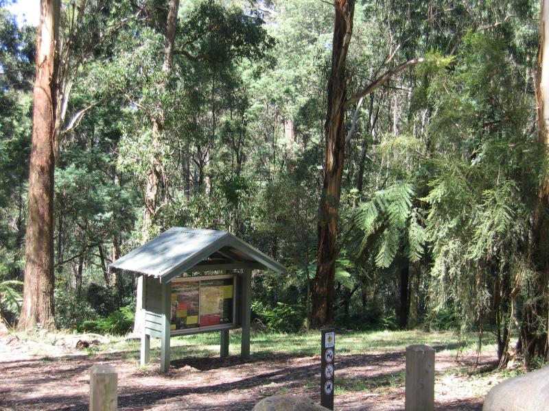 Olinda - Olinda Falls, Falls Road: At car park