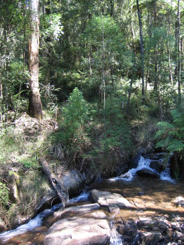 Olinda - Olinda Falls, Falls Road: Olinda Falls