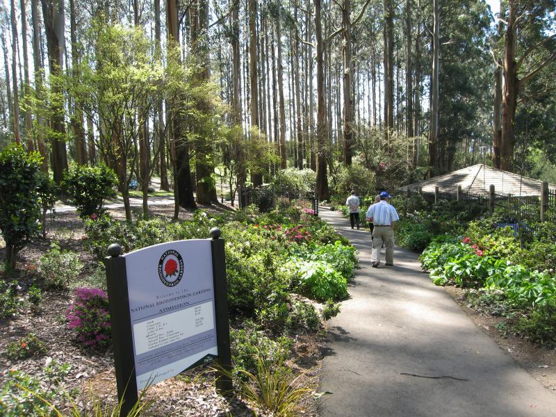 Olinda - Dandenong Ranges Botanic Garden: Walking path to gardens entrance