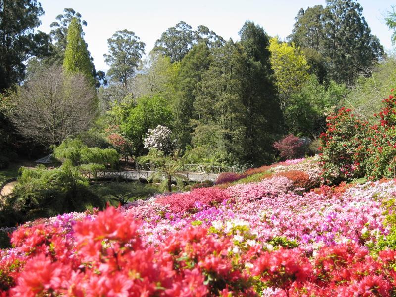 Olinda - Dandenong Ranges Botanic Garden: View down to pond