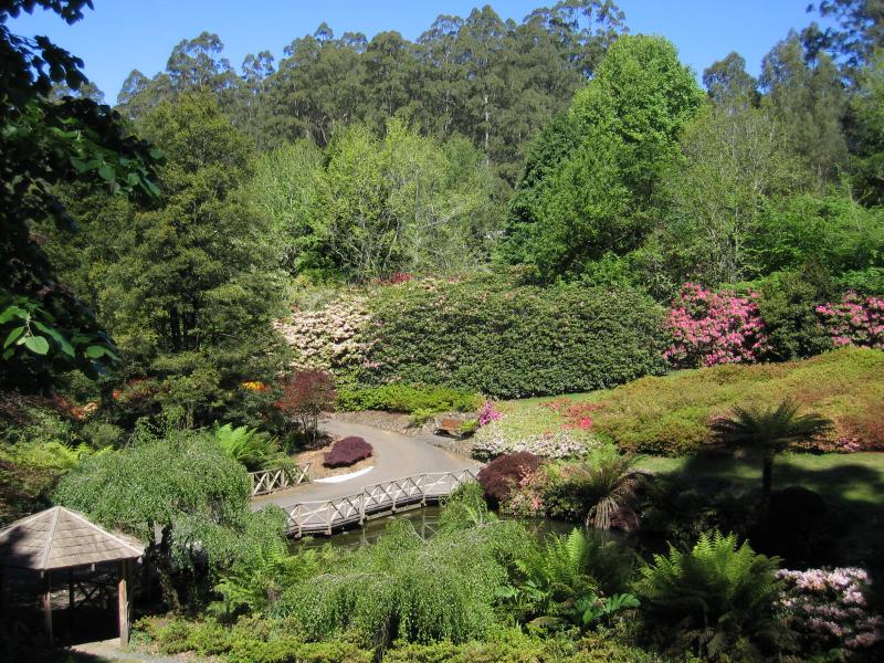Olinda - Dandenong Ranges Botanic Garden: View down to pond