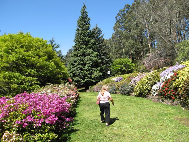 Olinda - Dandenong Ranges Botanic Garden: Lawns above pond