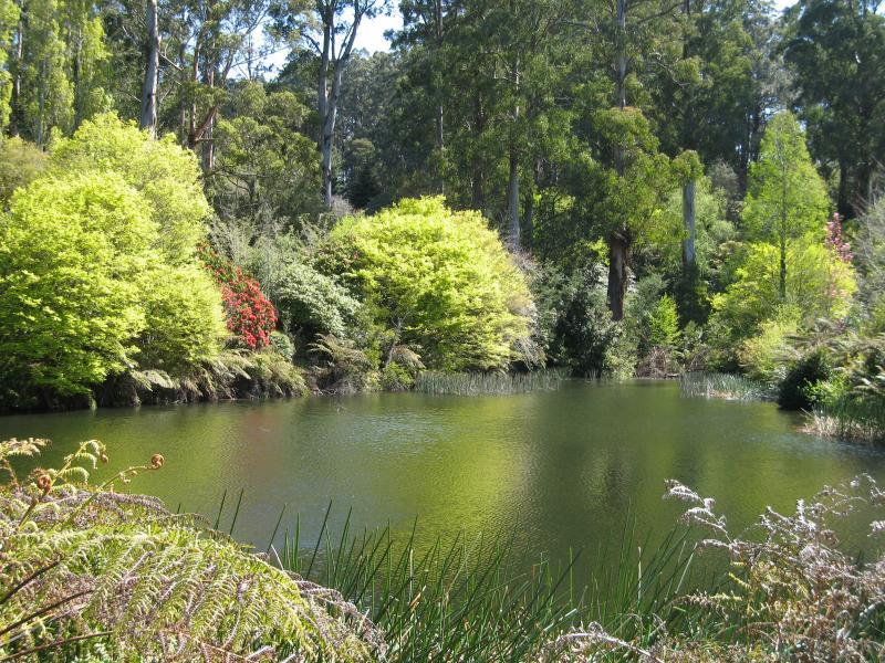 Olinda - Dandenong Ranges Botanic Garden: View across lake